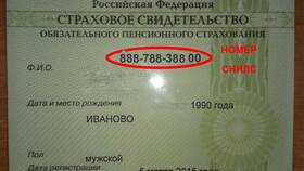 Как найти СНИЛС ребенка на сайте Социального фонда России в Эксперт
