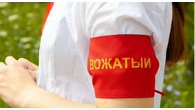 Как оформить медицинскую книжку для работы вожатым в Эксперт