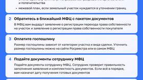 Как оформить межевание земельного участка через МФЦ в Эксперт
