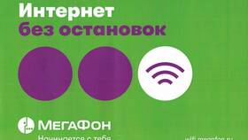 Как подключить опцию на МегаФоне в Эксперт