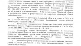 Как подключить уведомления о рейдах в Эксперт