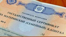 Как получить сертификат на материнский капитал через Госуслуги в Эксперт