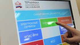 Как сделать анализ СНИЛС на Госуслугах бесплатно в Эксперт