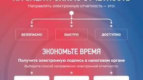 Как снять запрет налоговой инспекции в Эксперт