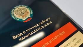 Как узнать задолженность по ИНН физического лица в Эксперт