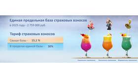 Как воспользоваться страховыми взносами в Эксперт