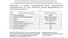 Как выглядит выписка ИП из ЕГРИП в Эксперт