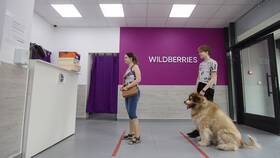Почему Wildberries списал 1 рубль за товар в Эксперт