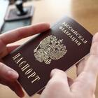 Как узнать паспортные данные онлайн